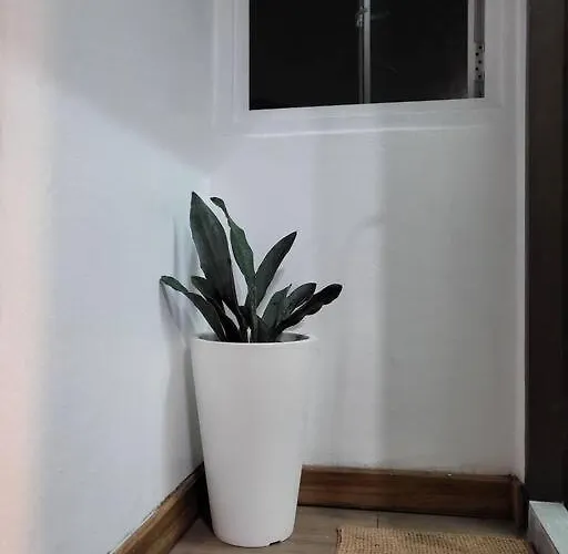 Auntythong House